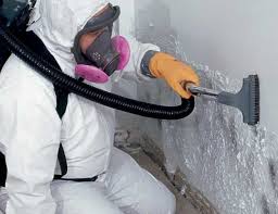 Best Water Damage & Mold Remediation  in Manvel, TX